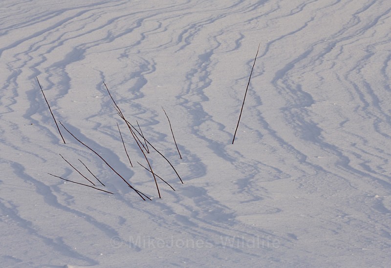 Snow patterns on the vast snowscape of Northern Sweden - FINLAND & SWEDEN LANDSCAPES