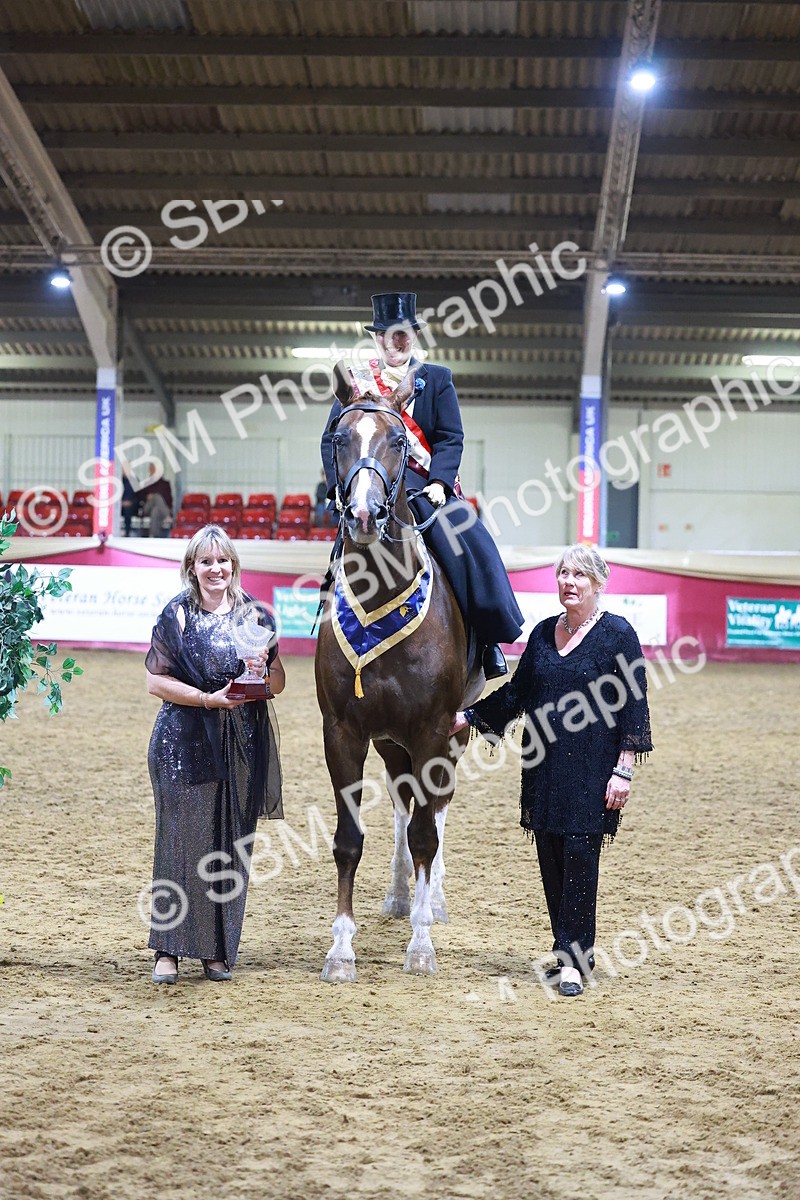 SBM_15036 - Class N - Side Saddle Champ
