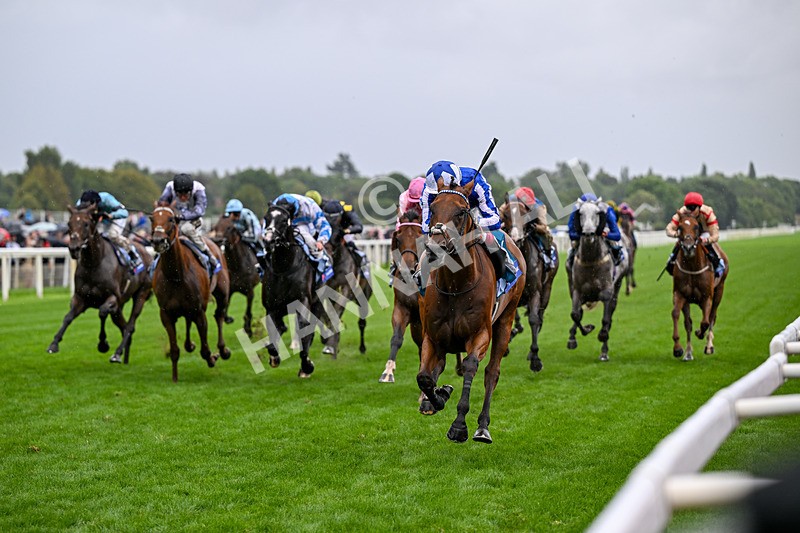 200826-Race 3-The Lost King-3367 - Race 3 15.00pm Sir Kevin Sinfield 7 In 7 Grand Finale Handicap