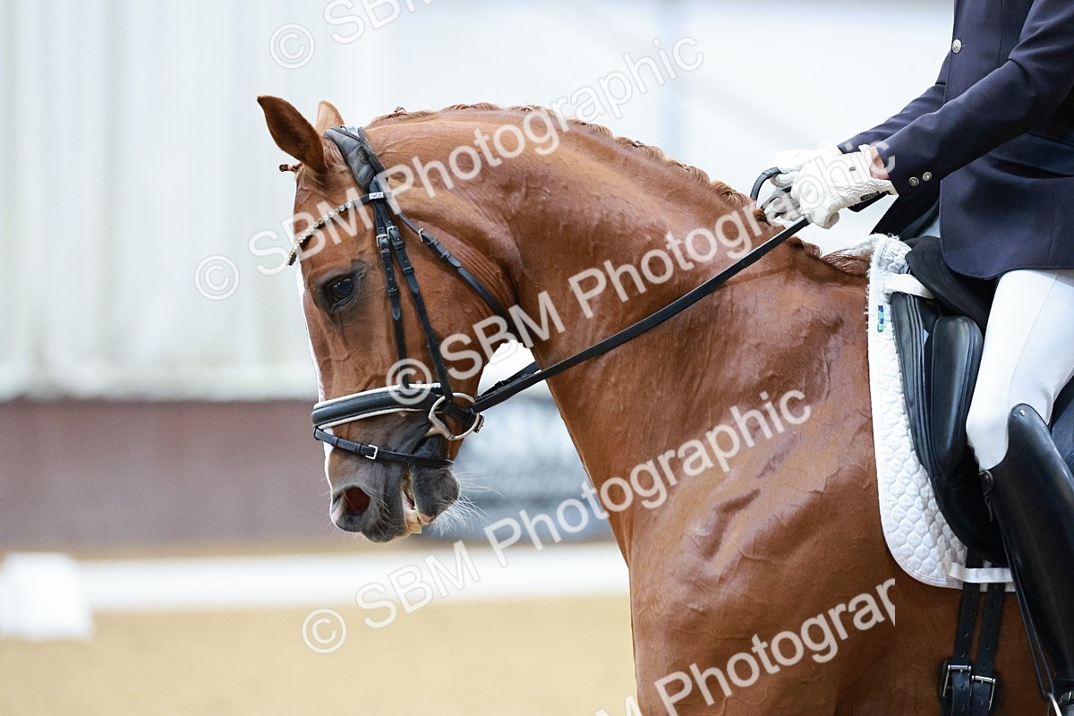 SBM_006343 - Class 3 - Medium 6 - 16.16-17.28