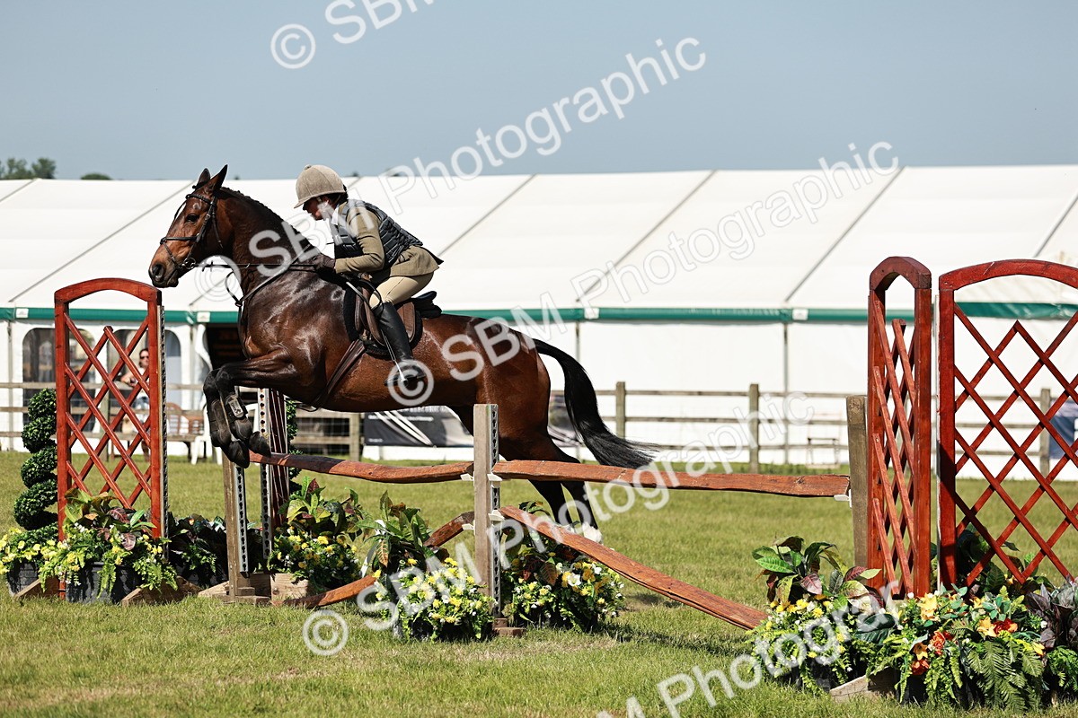 SBM_18353 - Class 112-113 - BSPS LIHS Working Sports Pony