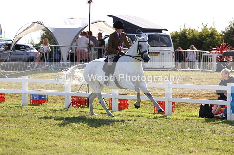 3E7A4025 - Supreme Championship