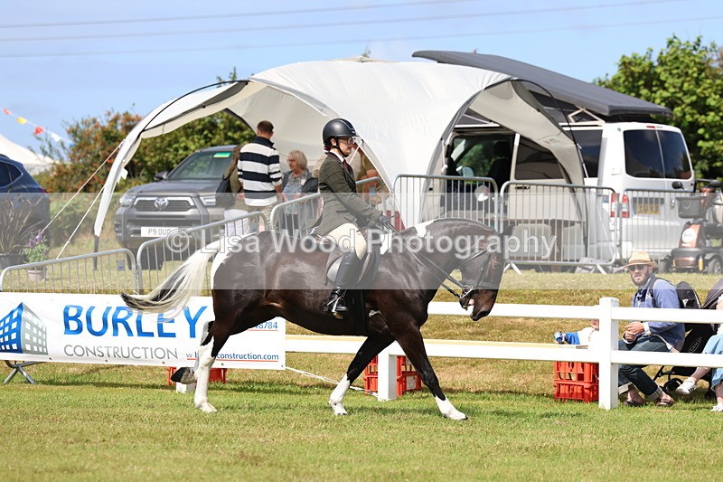 3E7A9841 - Class 5: Rising Star Lightweight/Heavyweight Cobs