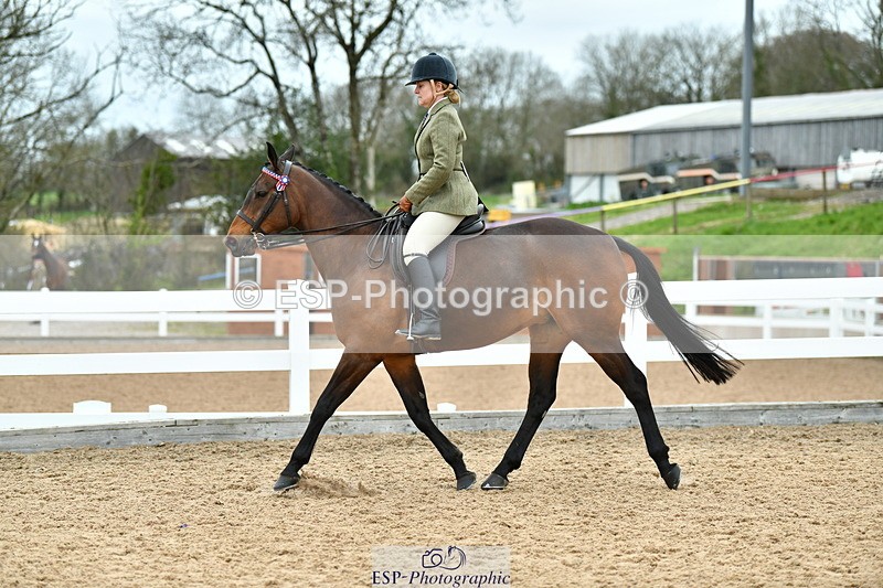 230416A-135133-04960 - Cls 60 Ridden Show Horse