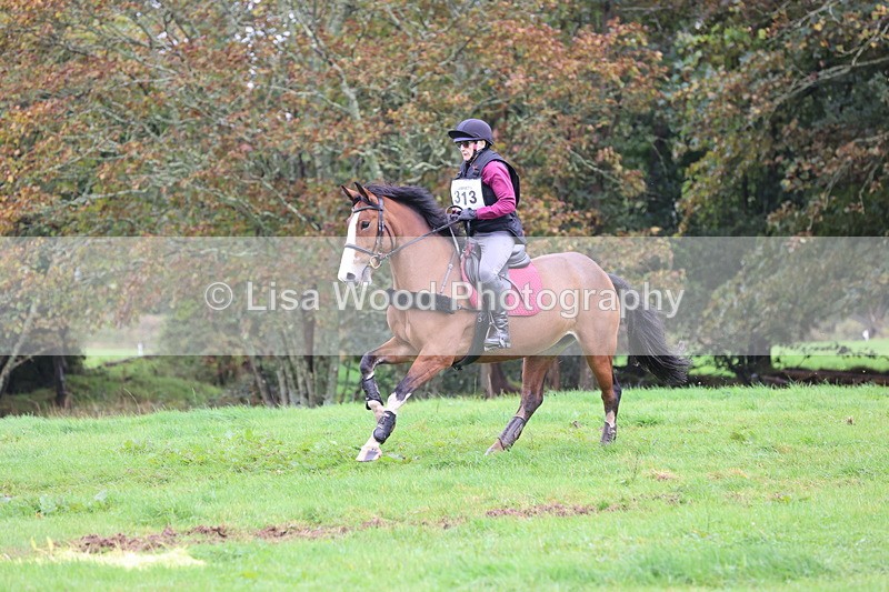 JPP_5327 - Class 3: 70cm Pairs: Zig Zag