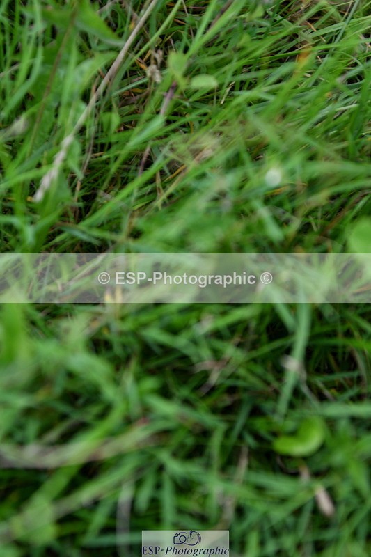 230801A-160325-00218 - Gemma's Ride