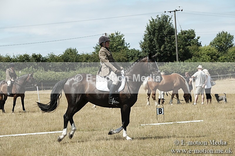 _PJP5864 - Dressage Classes BVRC Show 2018