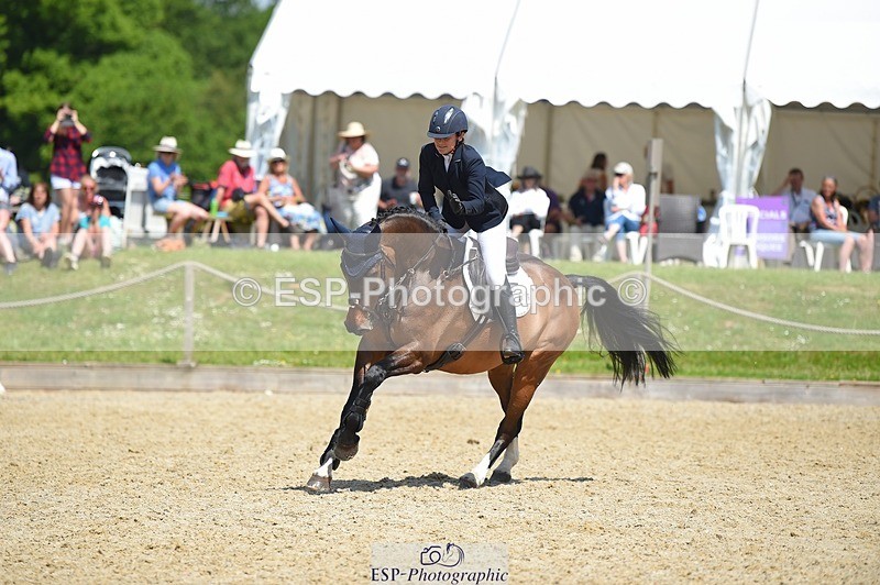 230528-115236-15422 - 369-GIDO_G-Sally_Chamberlain-SUNTrotUp+SJ