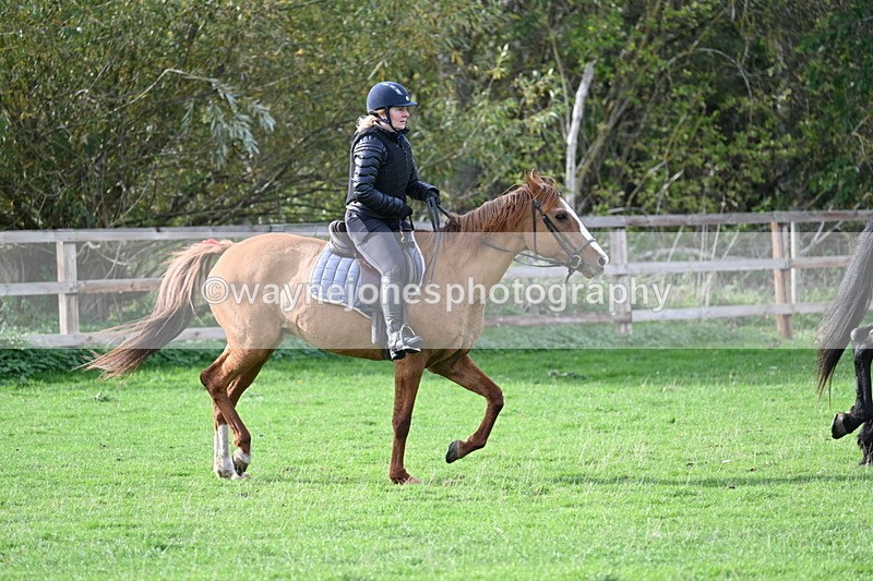 WJ7_1106 - Time 14:27 to 15:11