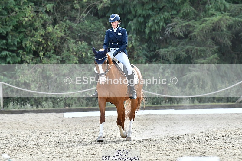 260802A-151541-07334 - Intermediate Bronze