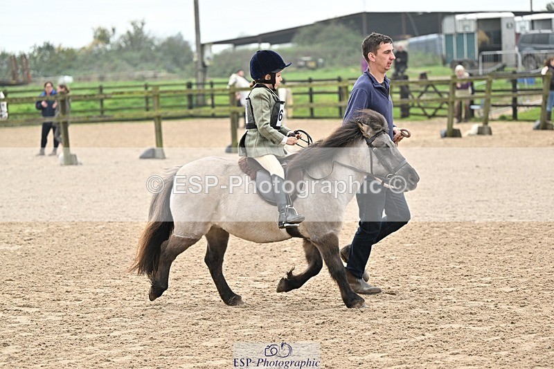 241110-102213-00272 - 40cm Showjumping