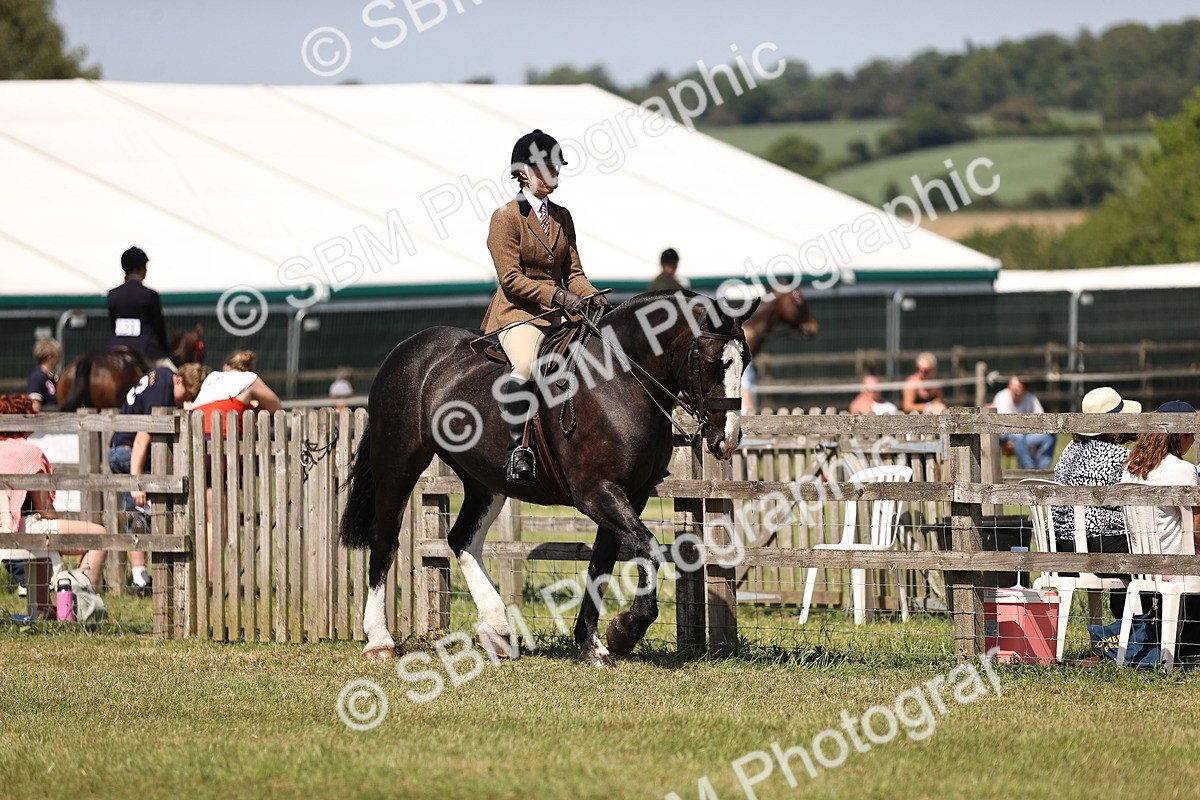 SBM_17821 - Class 81-83 - TSR Ridden Amateur of the Year - Horses