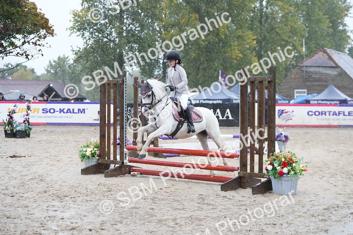 SBM_36141 - J5 - Junior Pony 50cm Championship