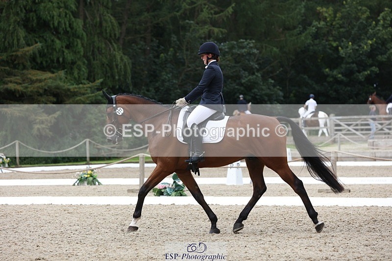 230812-115049-03880 - Cls 5 Novice Bronze 11.15 to 12.50 break