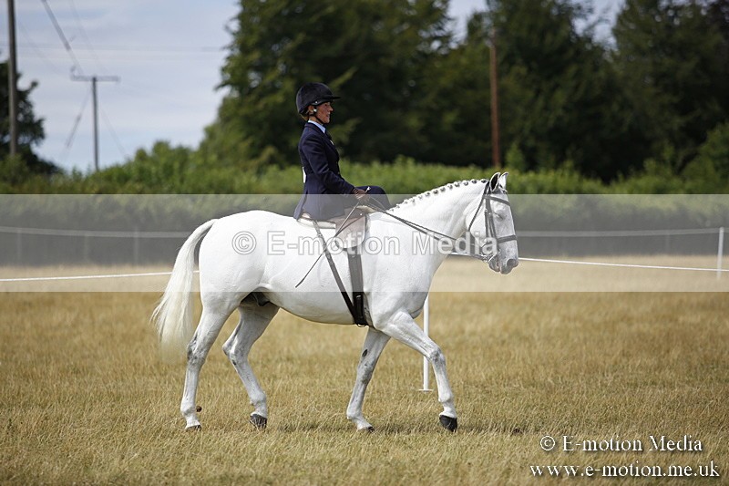 _C7A0266 - Side Saddle Classes BVRC Show 2018