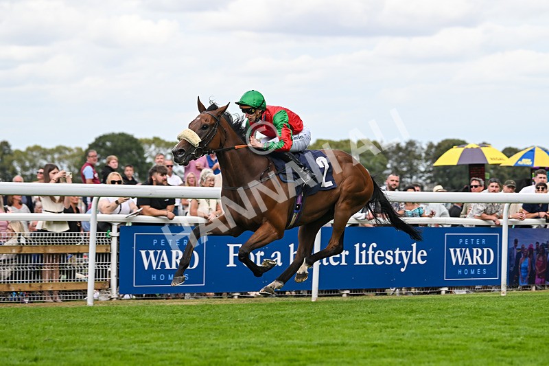 300825-Race 5-High On Hope-1490 - Race 5