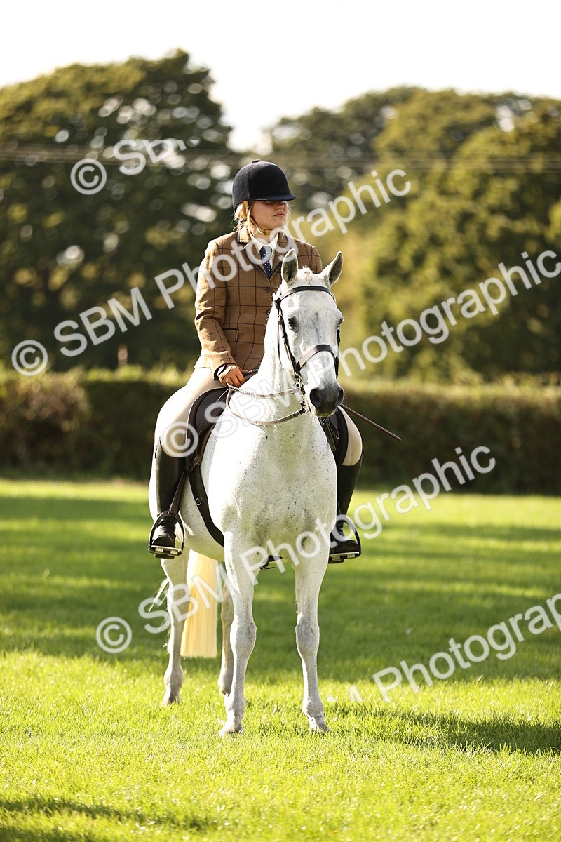 SBM_26415 - S6 - Novice & Newcomers Ridden Horse