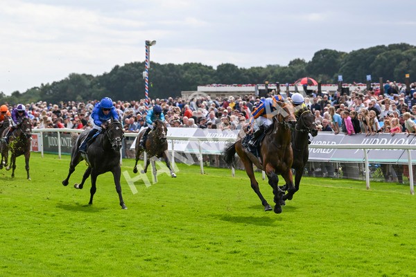 210824-Race 2-The Lion In Winter-4735 - Race 2 2.25pm Tattersalls Acomb Stakes