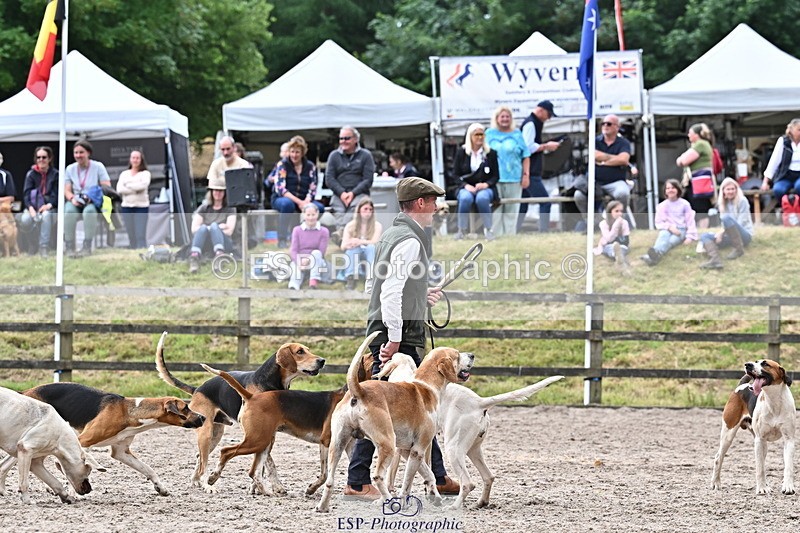 250524A-152856-12799 - East Devon Hounds
