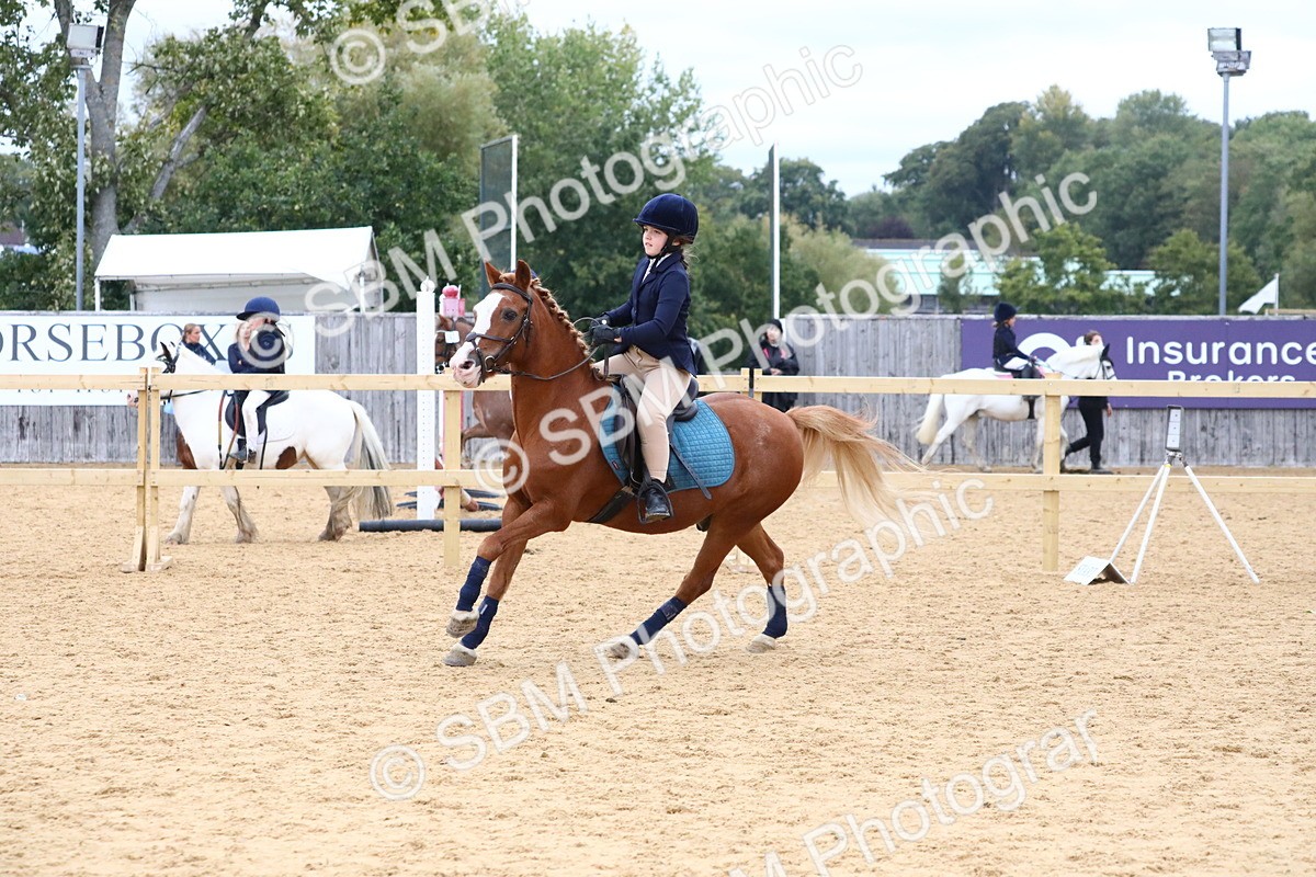 SBM_68275 - J3b - Mini Tour Junior Pony 40cm Championship