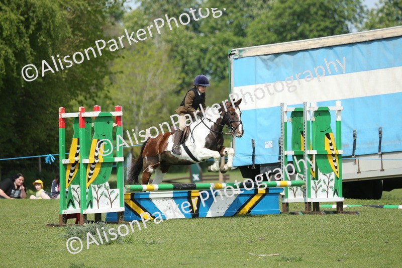 20260426-1778 - Class 14 - Novice 60cm