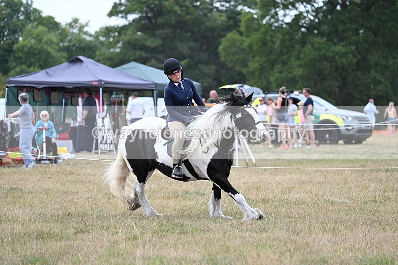 WJ7_5359 - Class 12 Ridden Cob