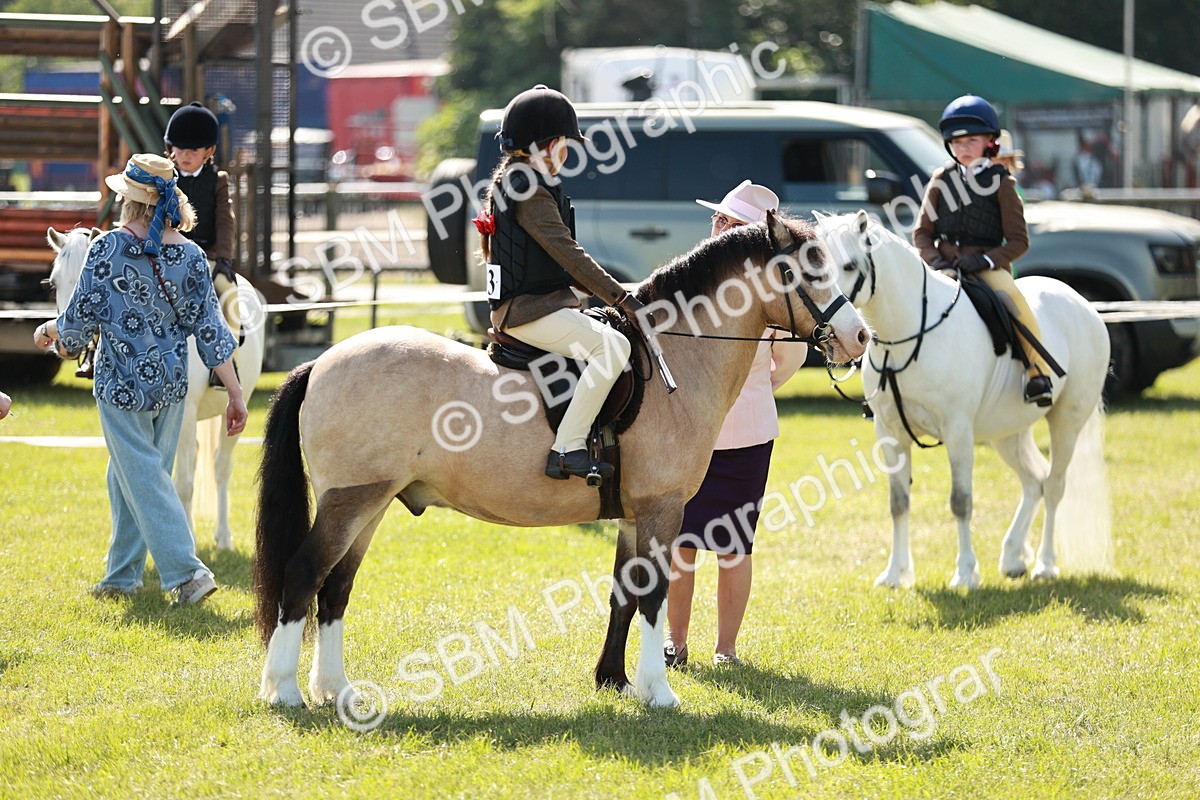 SBM_12690 - Class 106-107 - BSPS LIHS Working Sports Pony