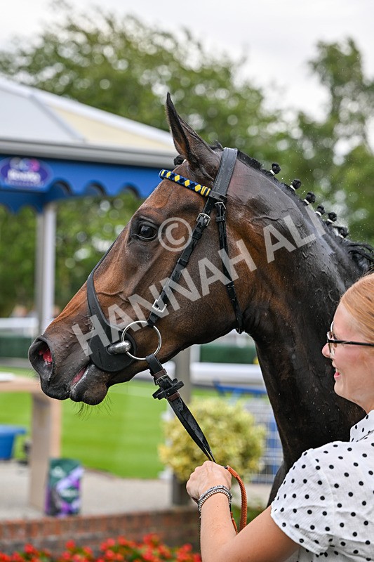 030726-Race 2-Tropical Crown-0642 - Race 2 18.30pm Ire-Incentive, It Pays To Buy Irish EBF Fillies' Novice Stakes
