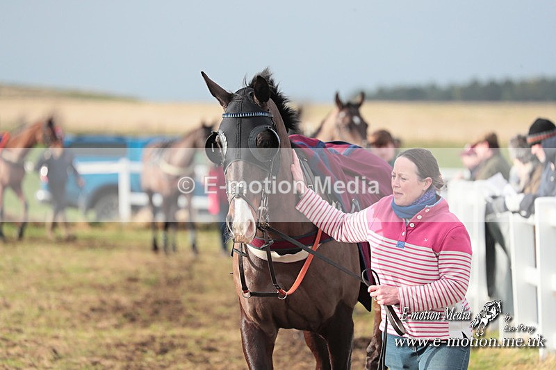 PtP 311223 10 - Larkhill Racing Club Point-to-Point 31/12/23