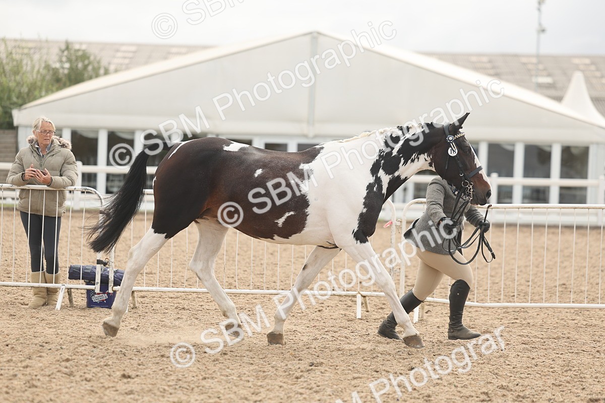 SBM_02059 - Class 15 - IH Coloured