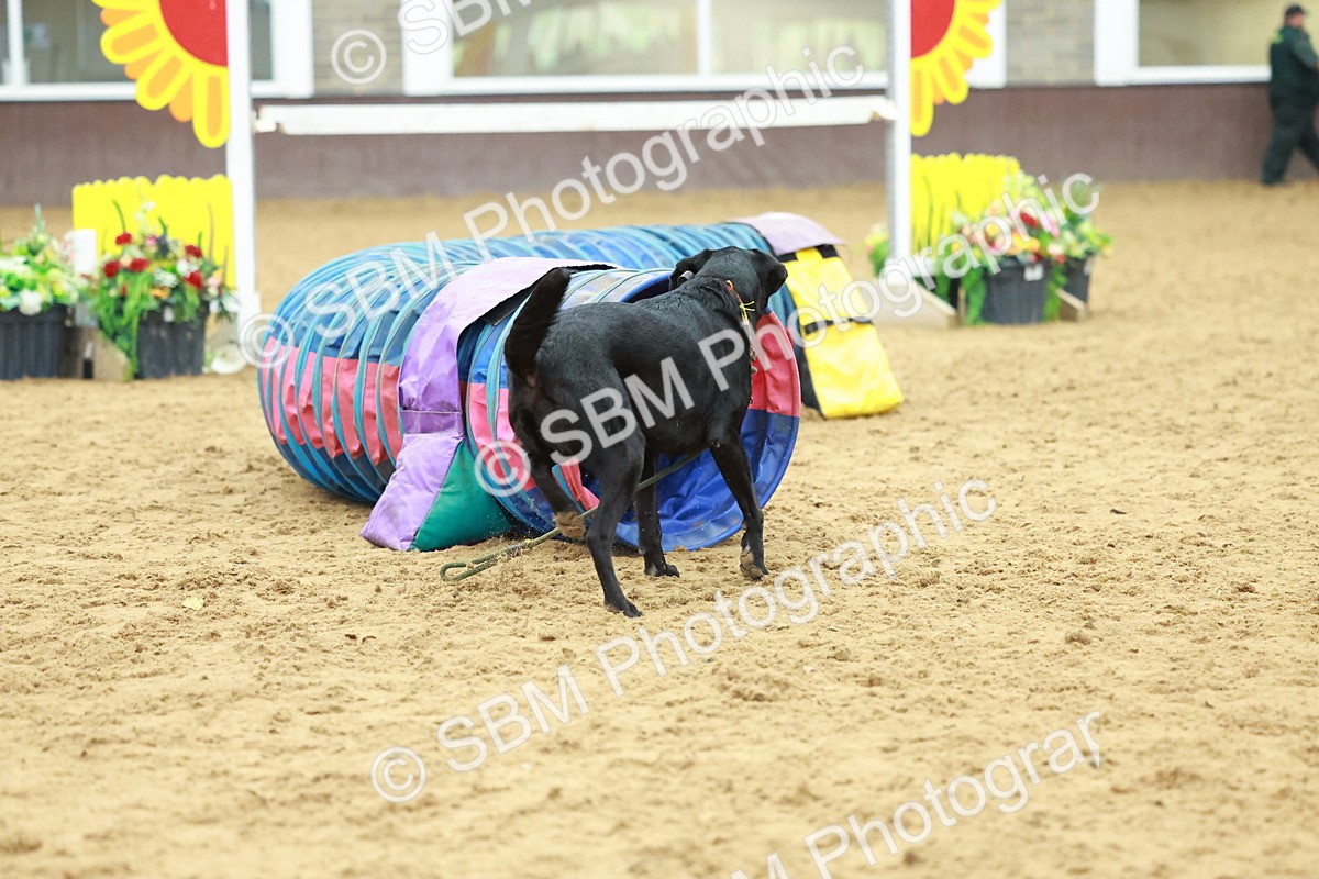 SBM_002572 - Class 3 - Horse & Hound (60cm)