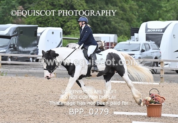 BPP_0279 - 31 E WYLLIE