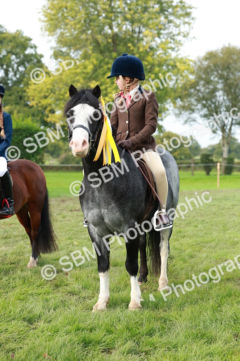 SBM_56472 - S39 - Starters In Hand Showing