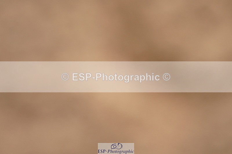 240317A-120548-05841 - Cls 26 National 1.30m Open