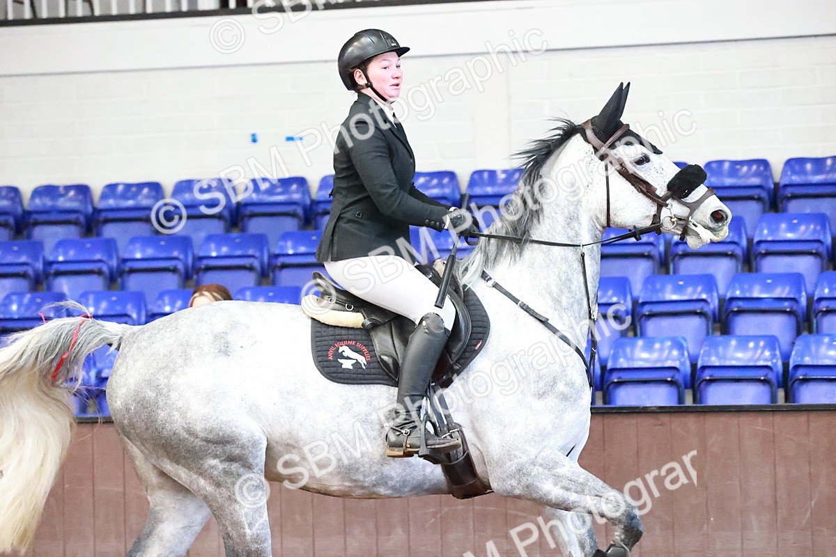 SBM_002586 - Class 10 - Senior Newcomer 1.10m