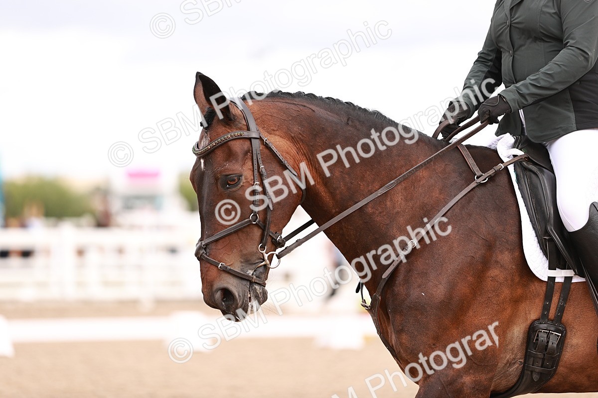 SBM_06364 - Class 37 - Novice 5
