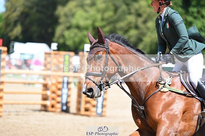 240525-125218-15091 - 412-WELLFIELDS_LINCOLN-Susie_Berry