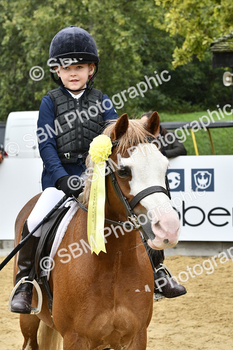 SBM_71006 - J3 - Mini Tour Junior Pony 40cm championship