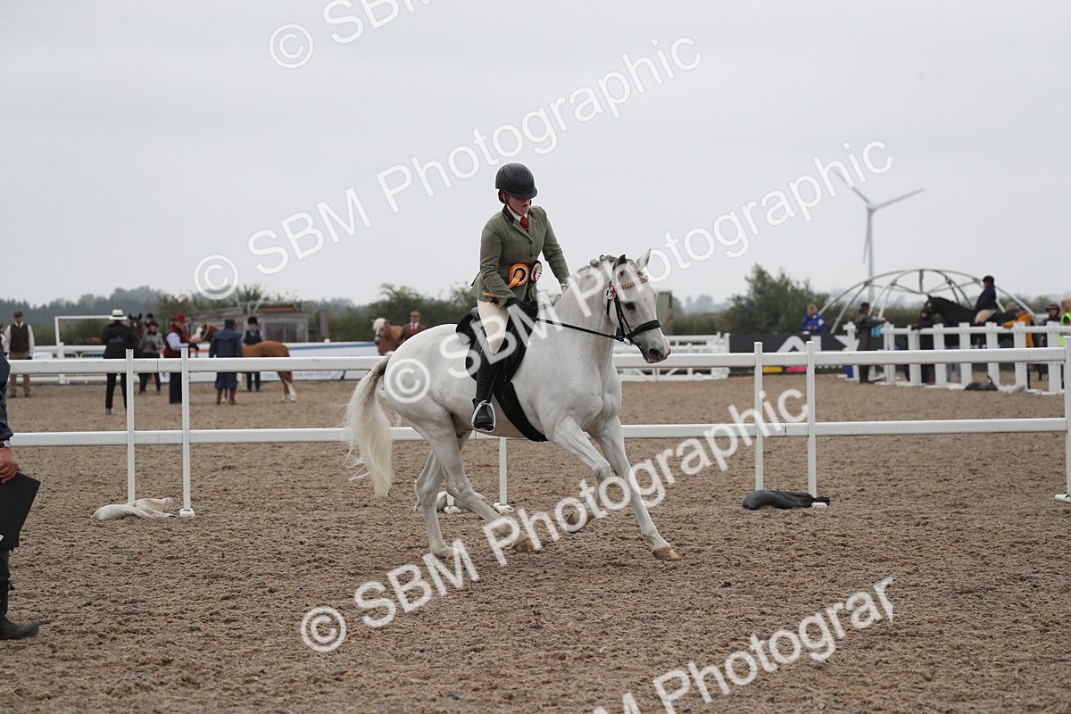 SBM_22079 - Class 603 - 2025 Area Ridden Pre Vet