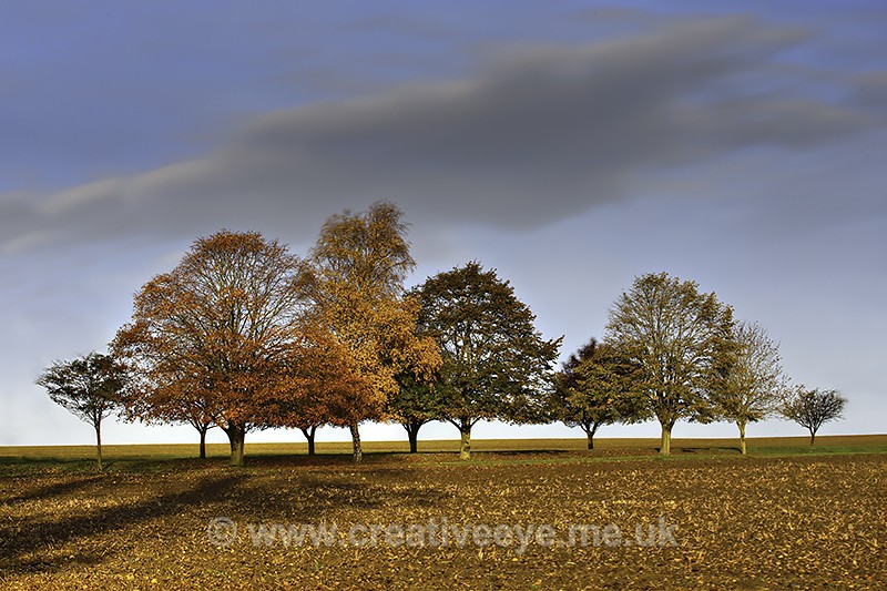 No 0033 - Landscape