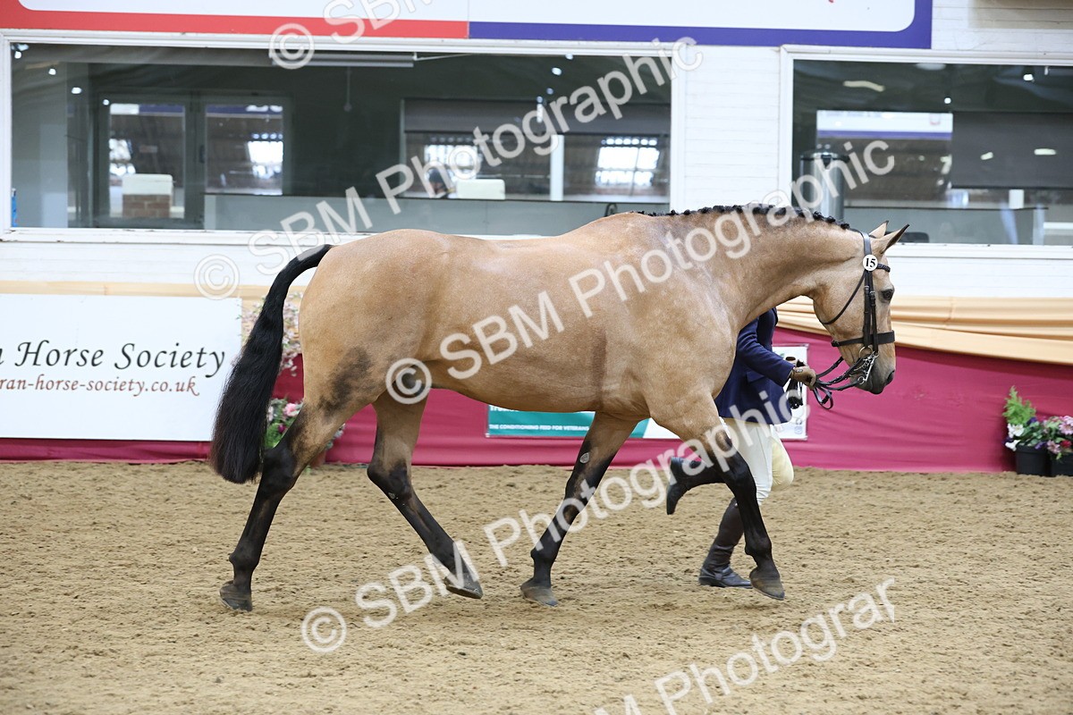 SBM_23658 - class 906 - Supreme Final - Ridden Pre Vet