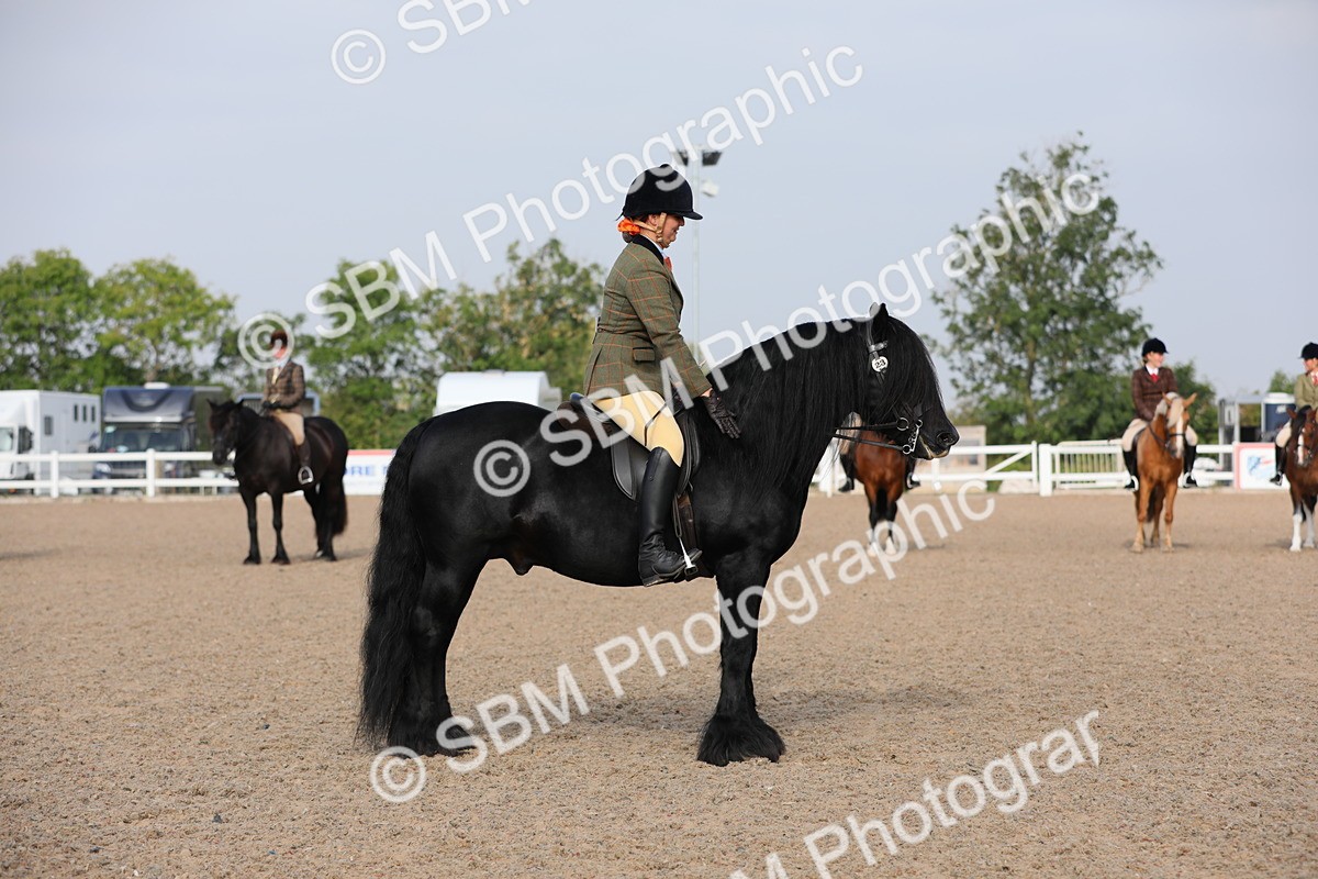 SBM_10117 - Class 302 Ridden M&M -Large Breeds