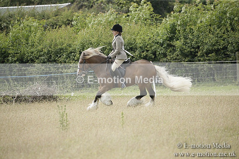 B230619-0440 - Bourne Valley Riding Club Summer Show 23/06/19