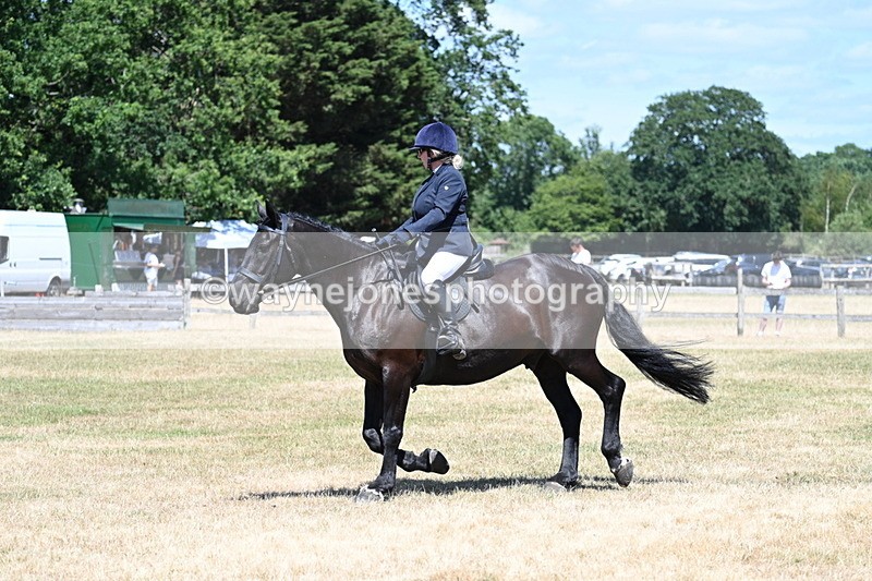 WJ7_2928 - Class 7 Riding Club Show Horse