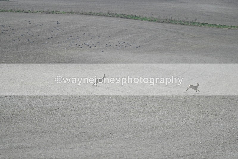 WJ7_7969 - Line 2 A camera