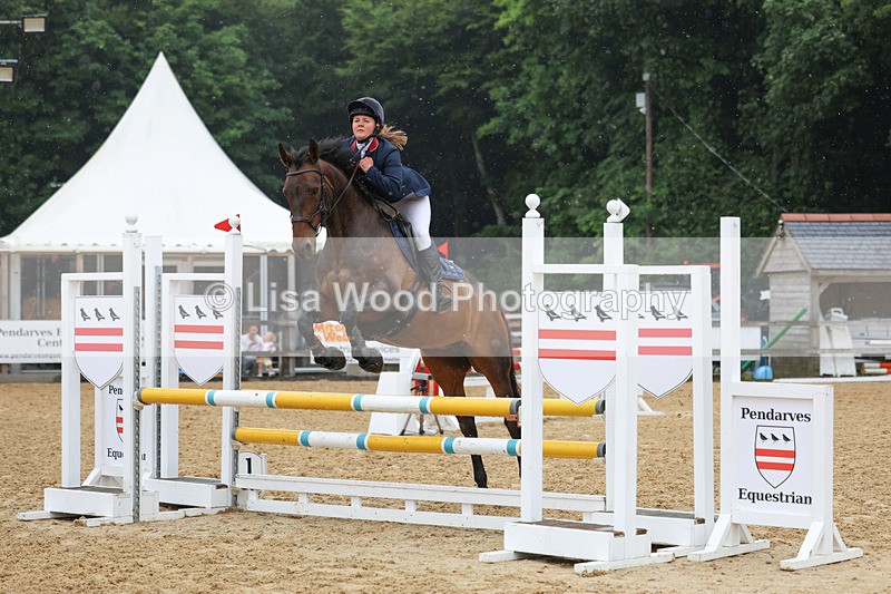 3E7A5395 - Class 4: Senior British Novice/90cm open