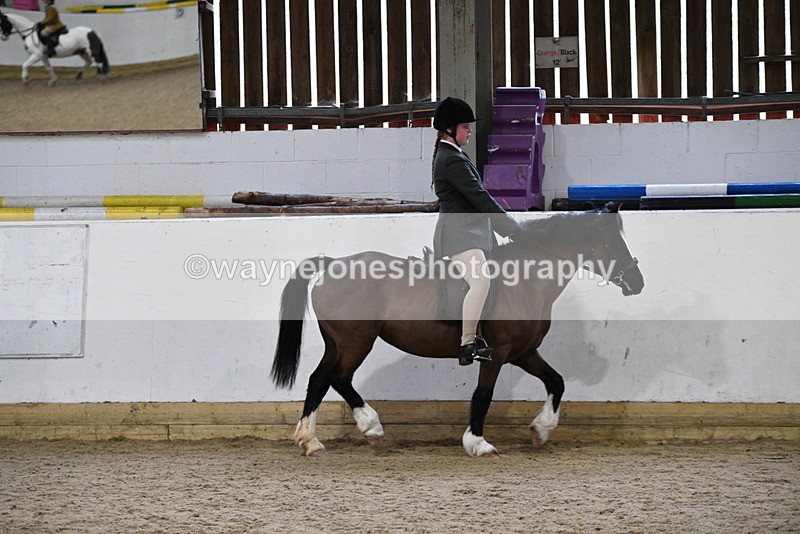WJ5_7154 - Class 11 Ridden PC - RC Pony