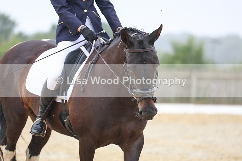 3E7A8553 - Class 2: Intro 3 2024 section B