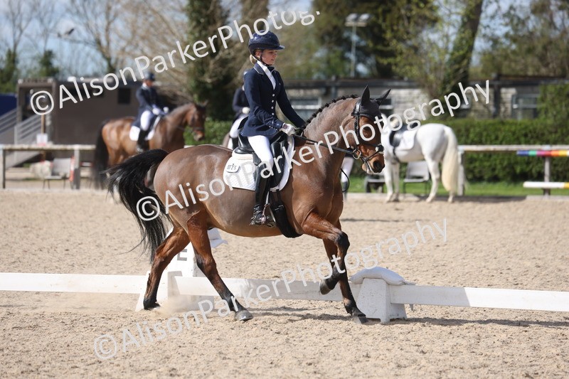 20260405-0918 - Pony FEI