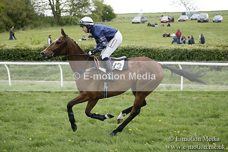 PtP 170417 506 - Old Berks Point-to-Point Lockinge 17/04/17